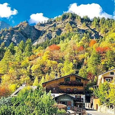 Joli Курмайор